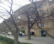 Satılır Köhnə Tikili Elmlər akademiyası m., Yasamal r.