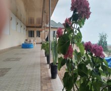 gunluk kiraye günlük Bağ evi Quba ş. gunluk kiraye günlük Bağ evi Quba ş.