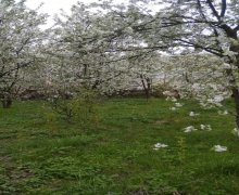 qubada torpaq satilir Quba ş.