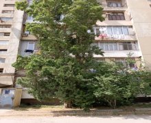 kredit evler ehmedlide Əhmədli m., Əhmədli, Xətai r.