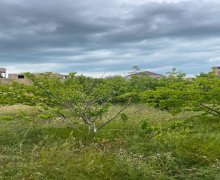 Satılır Torpaq Xırdalan ş.