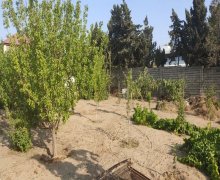 novxanida torpaq satilir Novxanı, Abşeron r.