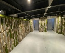 Kirayə (aylıq) Obyekt Sahil m., Nəsimi r.