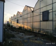 Satılır Torpaq Xəzər r.