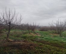 Satılır Torpaq Xaçmaz / Xudat ş.