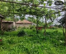 Kirayə (günlük) Həyət evi/villa Qax ş.