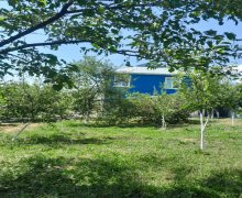 ismayilli günlük kiraye evler/villa İsmayıllı ş. ismayilli günlük kiraye evler/villa İsmayıllı ş.