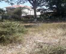 elanlari alqi satqisi elanlari Xaçmaz / Nabran ş.