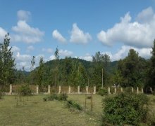 qebelede torpaq alqi satqisi Qəbələ ş.