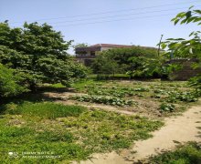 Satılır Torpaq Avtovağzal m., Sulutəpə qəs., Binəqədi r. Satılır Torpaq Avtovağzal m., Sulutəpə qəs., Binəqədi r.