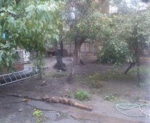 rayonlarda torpaq alqi satqisi Goradil, Abşeron r.