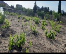 Satılır Torpaq Goradil, Abşeron r.