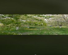 xacmazda torpaq alqi satqisi Xaçmaz ş.