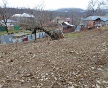 Satılır Torpaq Qəbələ ş.