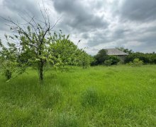 ismayillida torpaq alqi satqisi İsmayıllı ş.