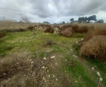 mastagada torpaq alqi satqisi Koroğlu m., Maştağa qəs., Sabunçu r.