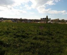 Satılır Torpaq Gəncə ş.