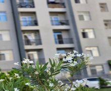 yasamalda ipoteka evler İnşaatçılar m., Yasamal r.