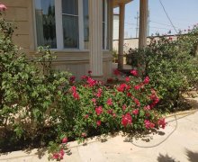 badamdarda satilan villalar/villa Badamdar qəs., Səbail r.