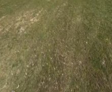 Продажа Участок Ленкорань г.