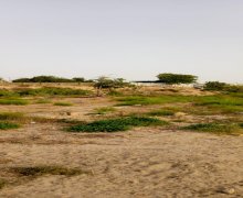 Satılır Torpaq Kürdəxanı qəs., Sabunçu r.