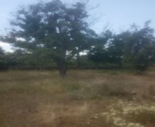 Satılır Torpaq Qusar ş.