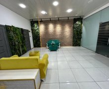 Kirayə (aylıq) Obyekt Əhmədli m., Xətai r.