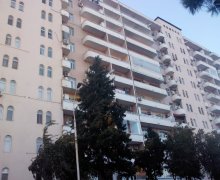 Аренда Новостройка 43 двор р., Сумгайыт г.