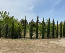 Satılır Torpaq Mərdəkan, Xəzər r.