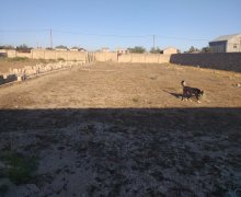 hovsanda torpaq satilir Hövsan qəs., Suraxanı r.