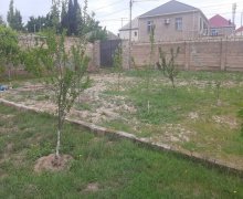 qurd deresi torpaq alqi satqisi Sumqayıt ş.
