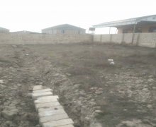 Satılır Torpaq Masazır, Abşeron r.