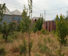 Satılır Torpaq Sumqayıt ş. Satılır Torpaq Sumqayıt ş.