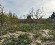 Satılır Torpaq Mərdəkan, Xəzər r.