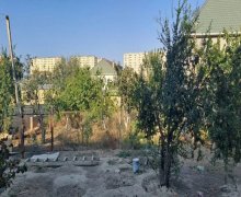 sarayda torpaq satilir Saray, Abşeron r.