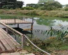 Satılır Torpaq Qusar ş.