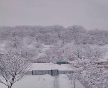 qebelede torpaq alqi satqisi Qəbələ ş.