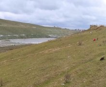 rayonlarda torpaq alqi satqisi Mehdiabad, Abşeron r.