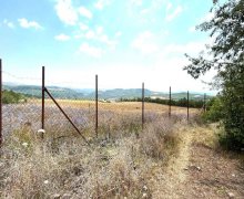 ismayillida torpaq alqi satqisi İsmayıllı ş.