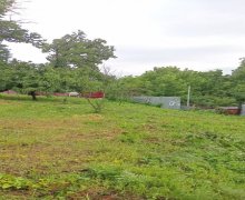 Satılır Torpaq Qəbələ ş.