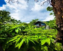 zaqatalada günlük ev elanlari/villa Zaqatala ş.