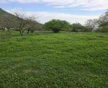 Satılır Torpaq Qəbələ ş.