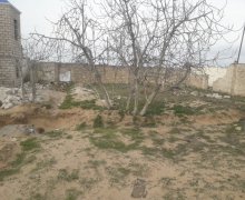 elanlari alqi satqisi elanlari Qala, Xəzər r.