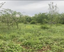 Satılır Torpaq Qəbələ ş.