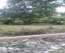 ismayillida torpaq alqi satqisi İsmayıllı ş.