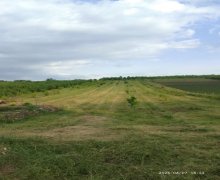 Продажа Участок Губа г.