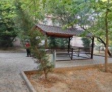 Satılır Köhnə Tikili 1-ci mikrorayon, Nəsimi r.