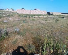 Satılır Torpaq Türkan, Xəzər r.