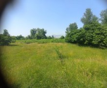 Satılır Torpaq Oğuz ş.