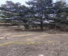 Satılır Torpaq İçərişəhər m., Badamdar qəs., Səbail r.